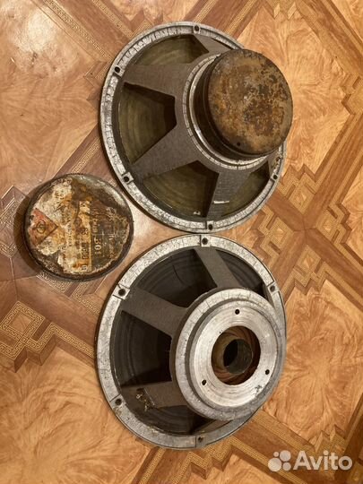 Динамики 30гд 301