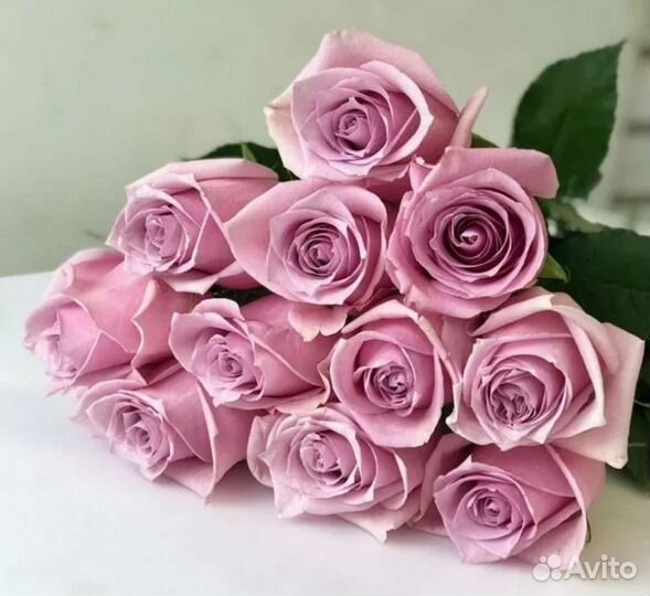 Доставка Роза 24/7