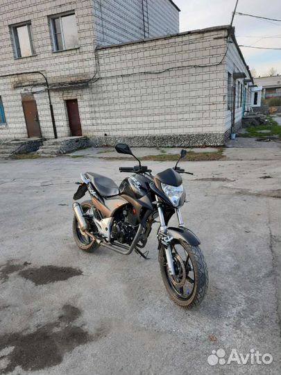 Stels flex 250 торг