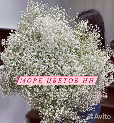 Воздушная белая гипсофила в наличии купить в Нижнем Новгороде | Товары ...