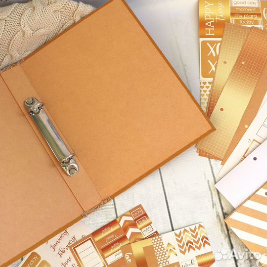 Планер на кольцах с разделителями