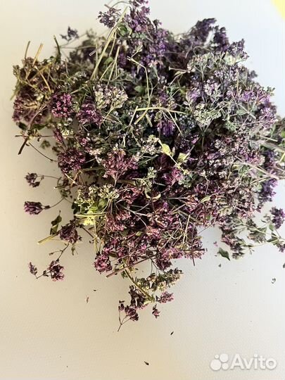 Чабрец (тимьян)