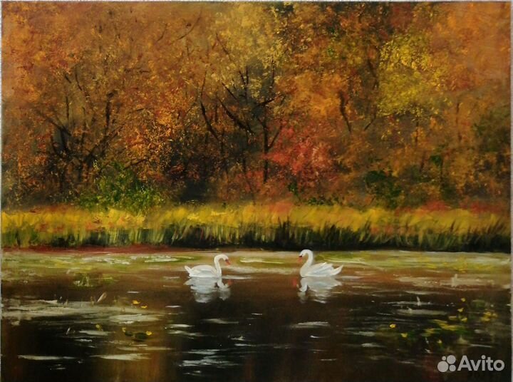 Белые лебеди на пруду. Холст на подрамнике 40х50