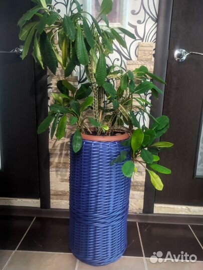 Кашпо для цветов. Ротанг