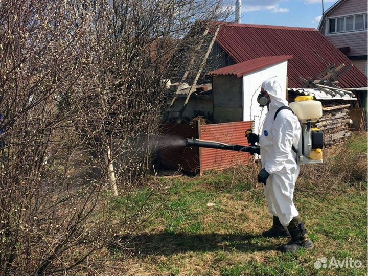 Уничтожение клещей кротов комаров ос борщевика