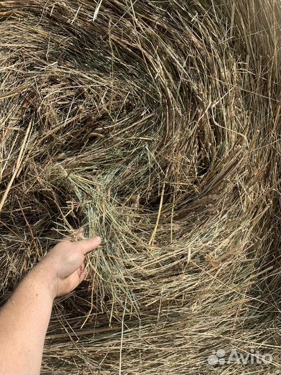 Сено в рулонах с доставкой