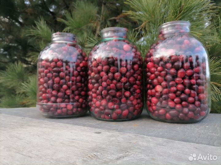 Клюква свежая. Лесные и садовые ягоды