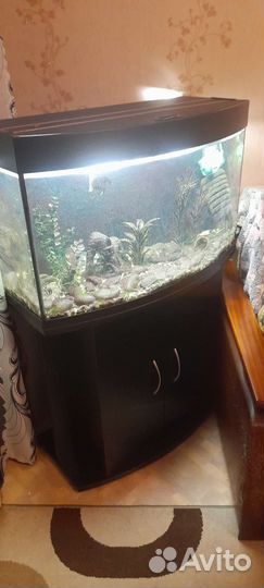 Аквариум 135 л