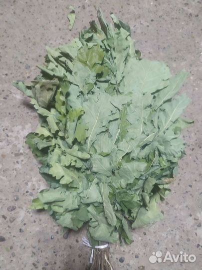 Набор веников и трав для бани мужской