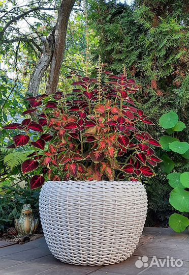 Белое кашпо из ротанга