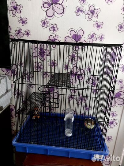 Клетка для грызунов бу