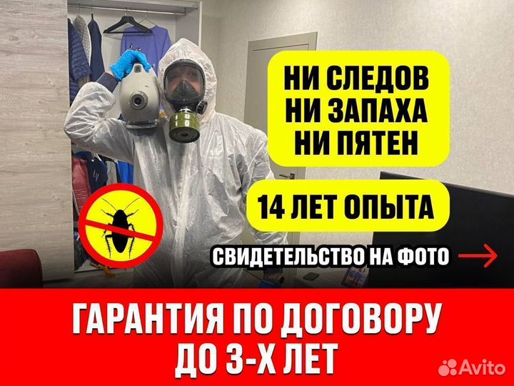 Уничтожение тараканов и клопов дезинсекция