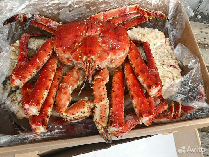 Краб Камчатский