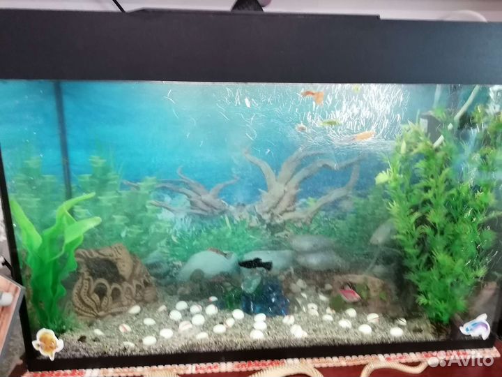 Аквариум