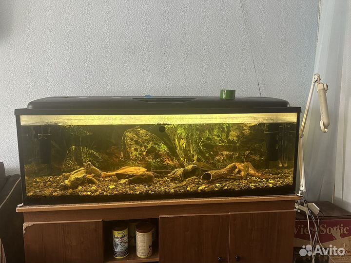 Аквариум с рыбами