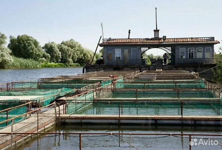 Турпоездка на Уикенд на Волге 1 нч от 4* завтраки