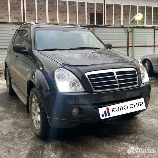 Отключение егр SsangYong Rexton Y250, прошивка EGR