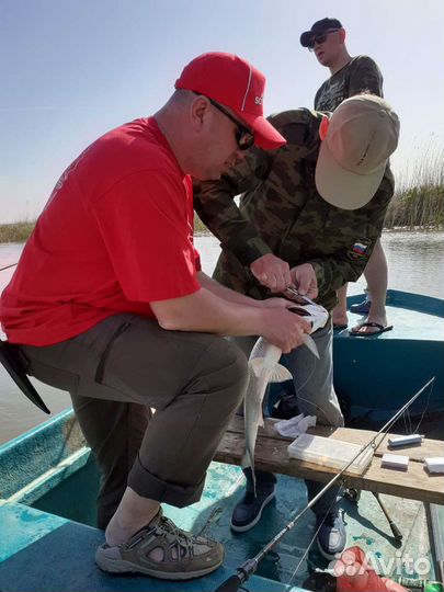 Рыбалка и Охота в дельте Волги в с Тишково