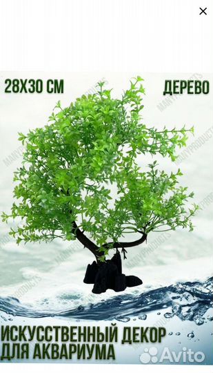 Растения для аквариума
