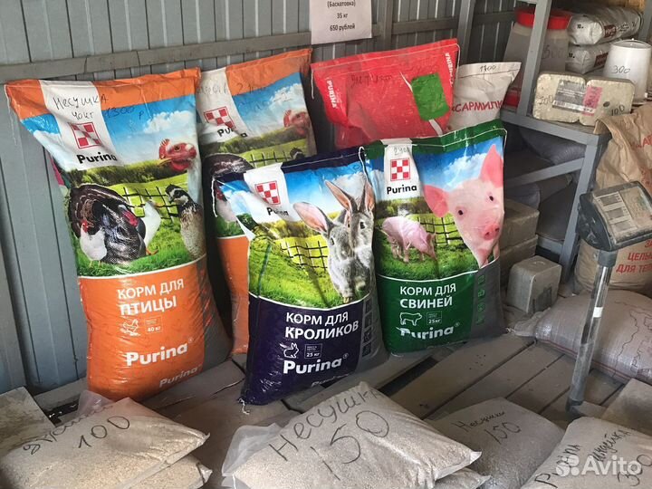 Комбикорм Пурина