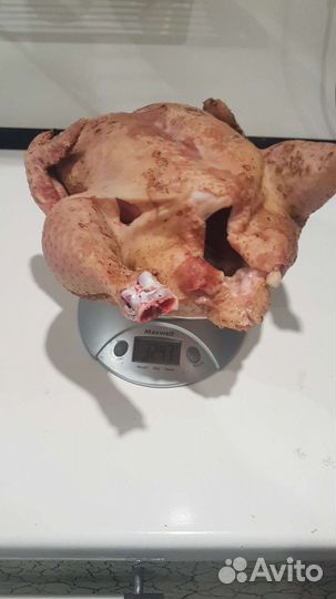 Мясо бройлеров
