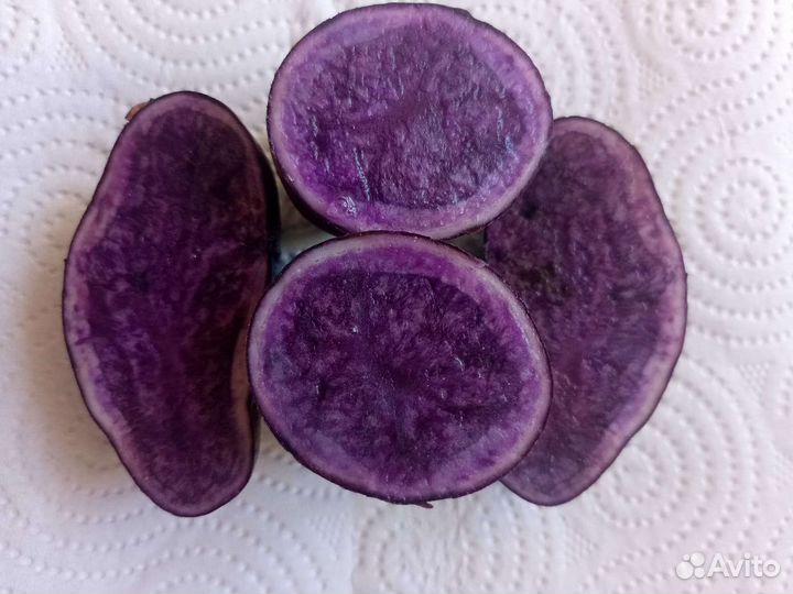 Семенной картофель