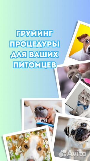 Груминг собак (стрижка собак)