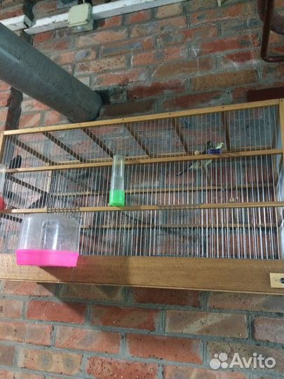 Клетка для птиц