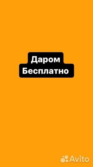 Пальто бесплатно