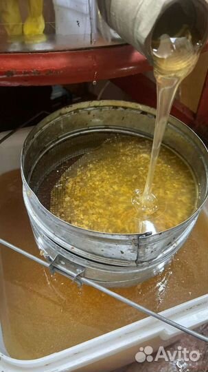 Мед натуральный