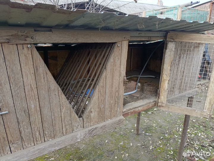 Продам крольчатник