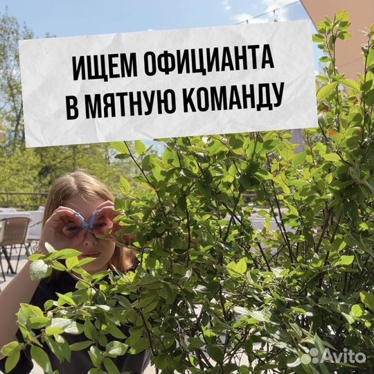 Требуется официант