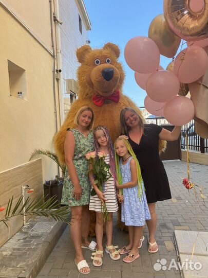 Бурый мишка маша и медведь аниматор