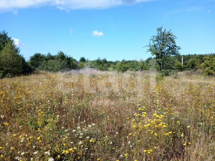 Участок 11,4 сот. (ИЖС)