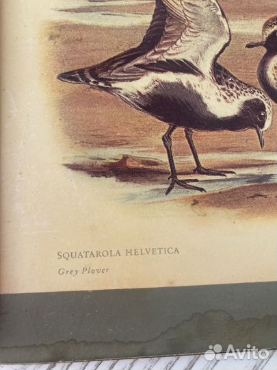 Подставки доя горячего