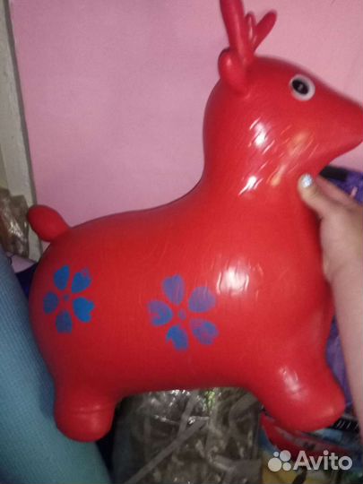 Ослик прыгун