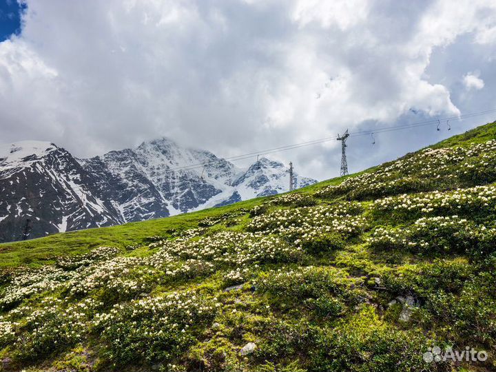 Экскурсия — Кисловодск — Путешествие К Эльбрусу И