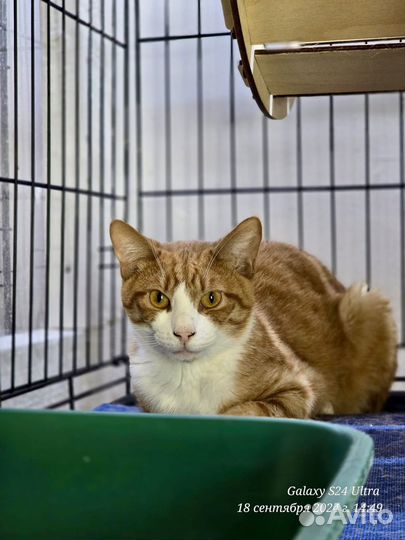 Вениамин хочет на свободу