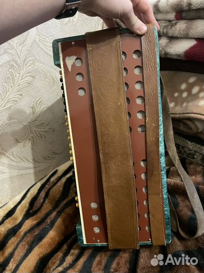 Баян Полтава