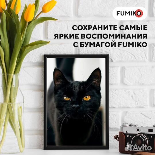 Фотобумага fumiko глянцевая двухсторонняя 260г/А4