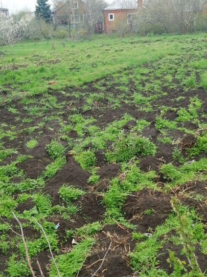 Участок 16,5 сот. (ИЖС)