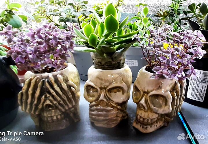 Кашпо,подарок,цветы