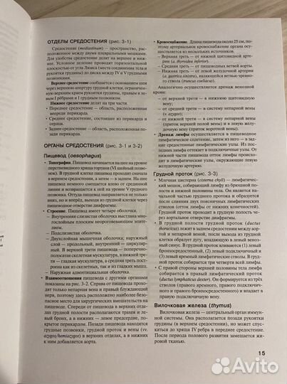 Наглядная анатомия О.Фейца, Д.Моффета