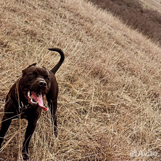 Сольемся в экстаз