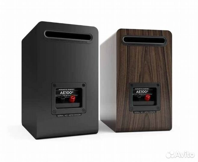 Acoustic energy AE100-2