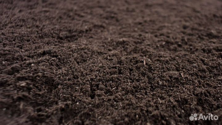 Чернозем с карьера плодородный с доставкой