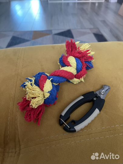 Ножницы для кошек и собак