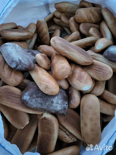 Хлеб на корм