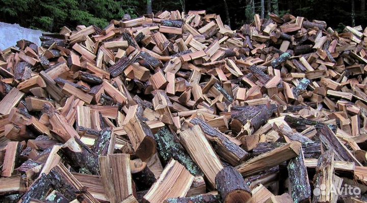 Дрова без плесени