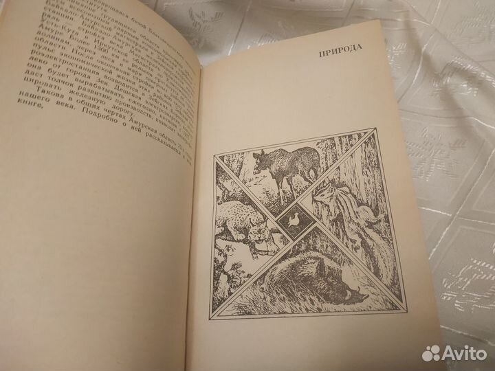 Амурская область. Природа, экономика, культура